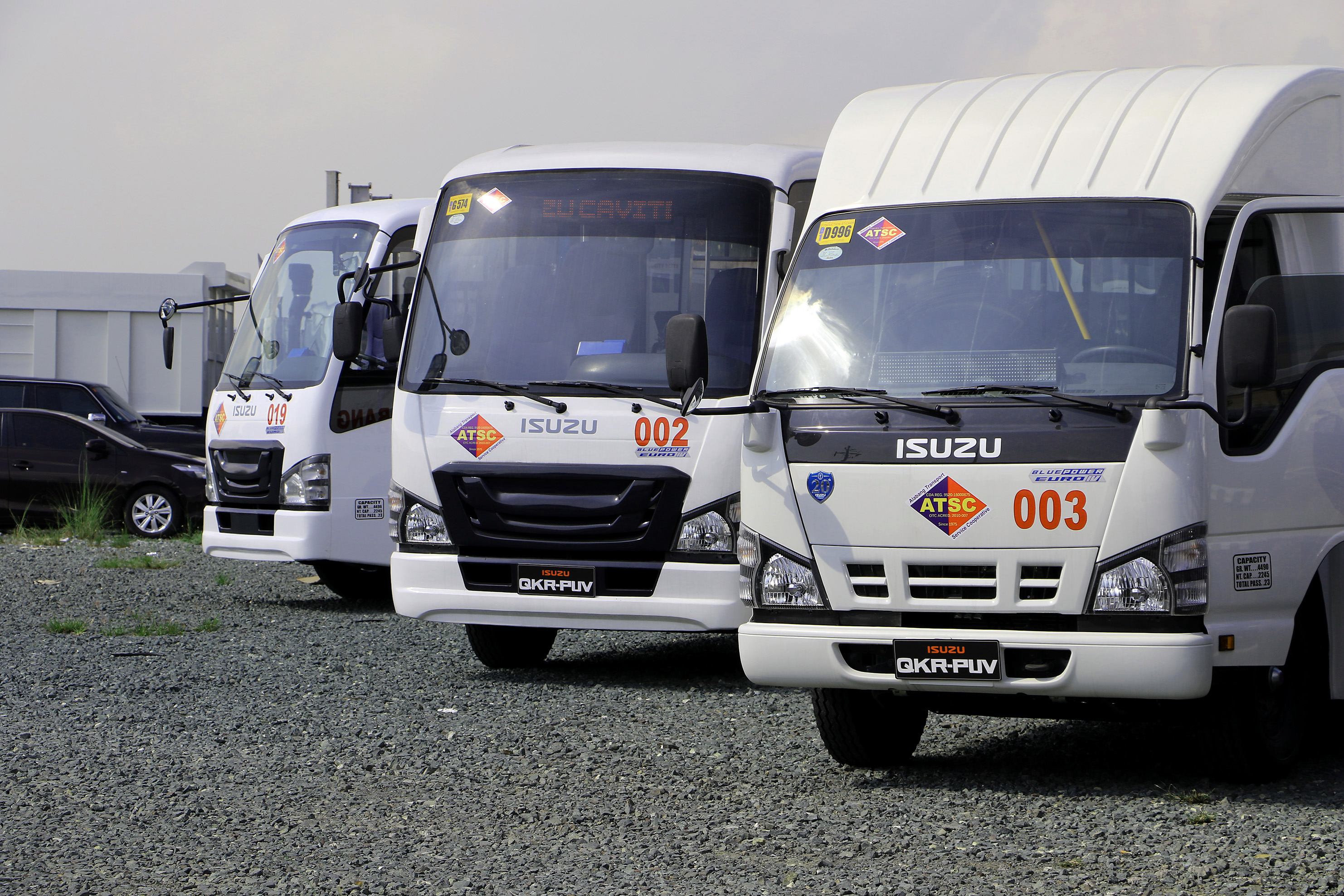 Isuzu buses