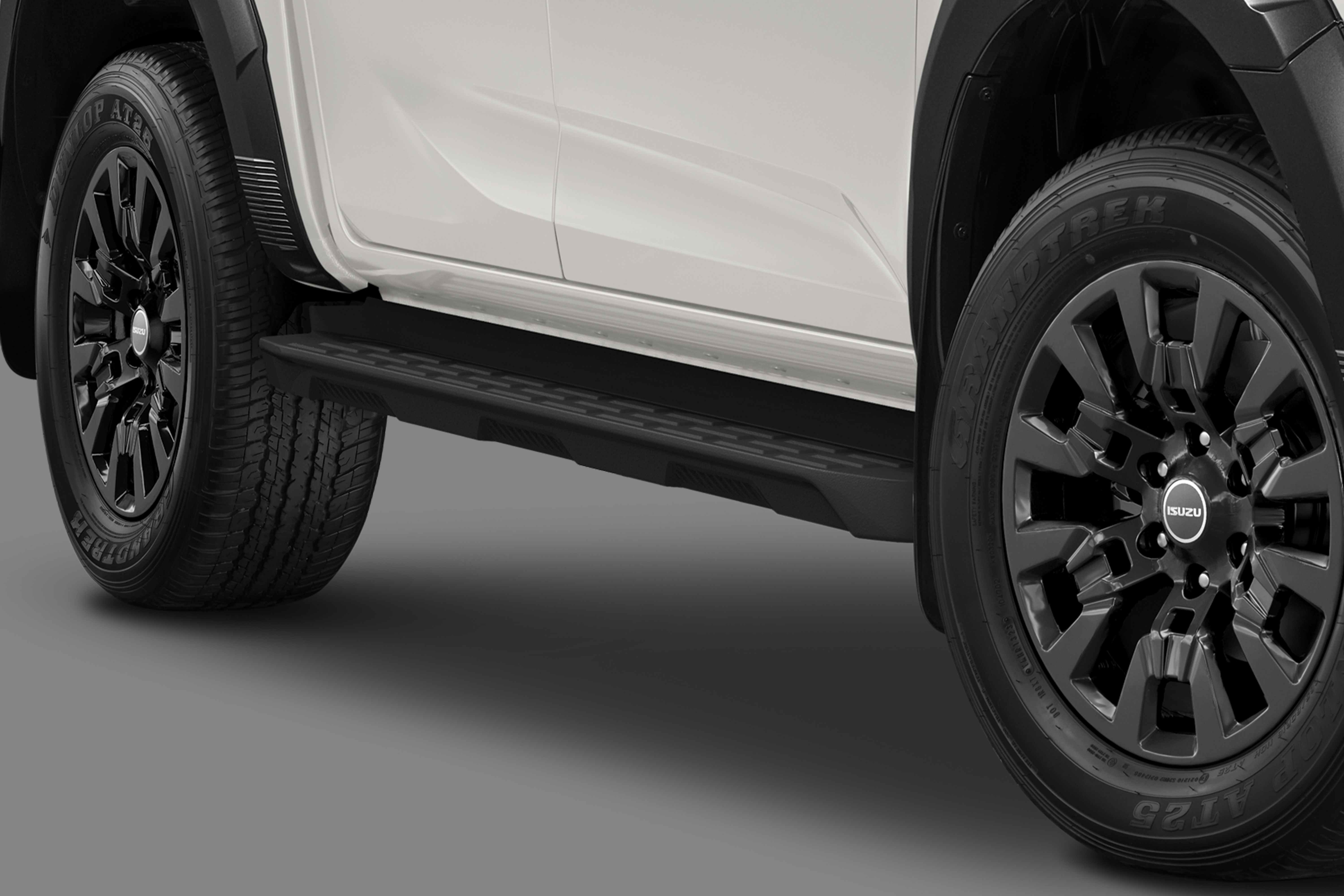 New Molding-Type Side-Steps